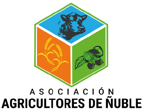 Logo Cliente 2