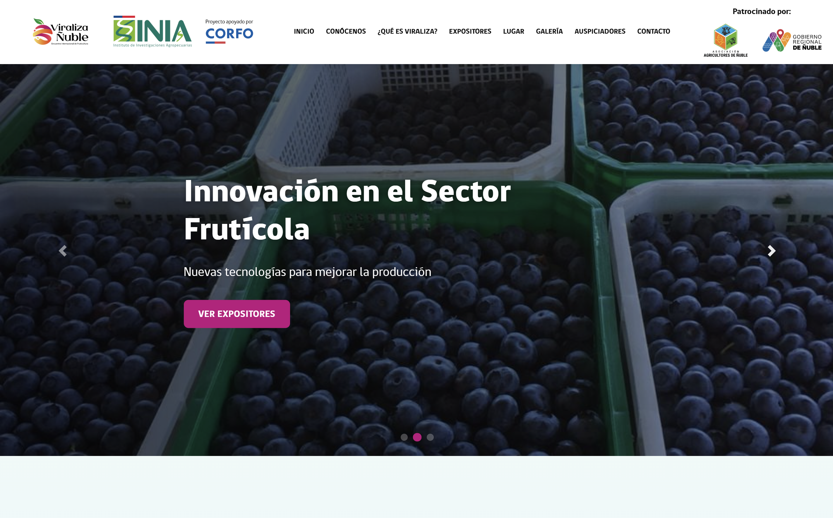Nuble Frutícola